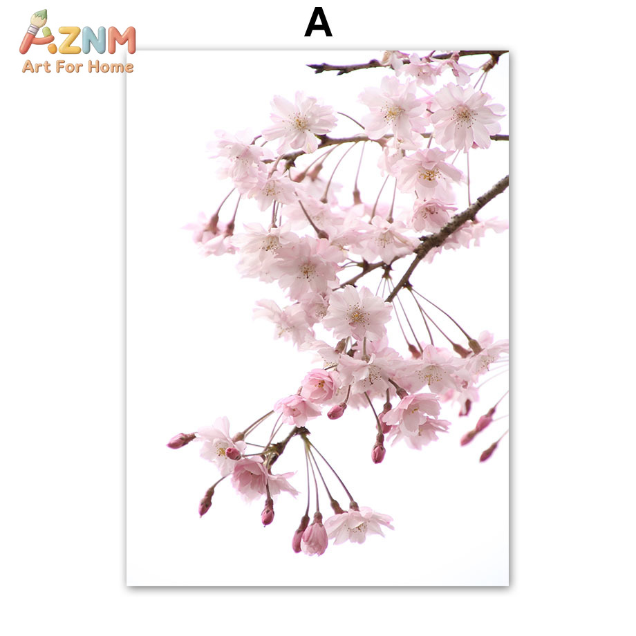 AZNM - Lienzo decorativo con d - Photography Quotes reseña y precio