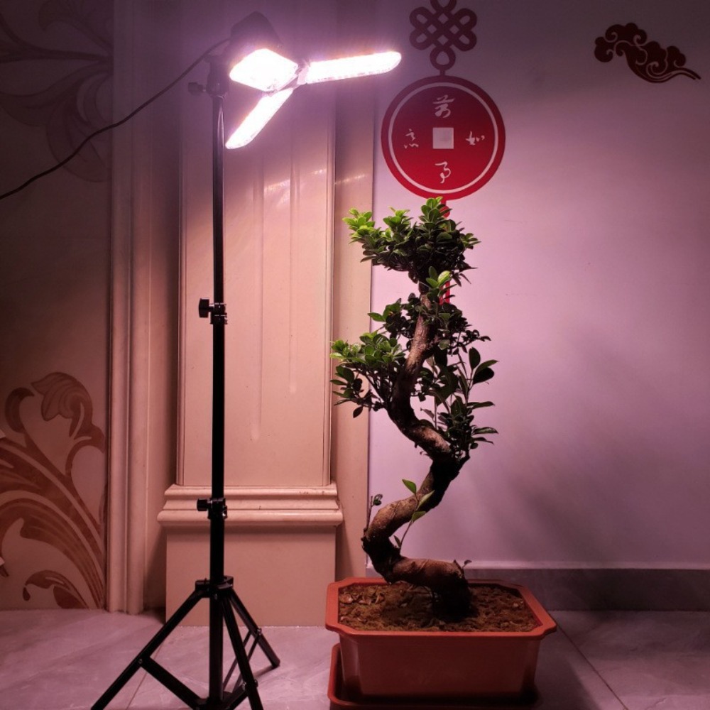 Soporte de bombilla de 2M, enc - Photography Umbrella Lights reseña y precio